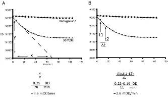 Functional Studies - Complex IV Human Specific Activity Microplate Assay Kit (AB109910)