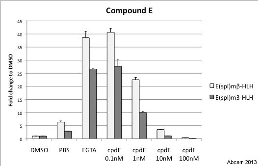 Functional Studies - Compound E, gamma;-secretase inhibitor (AB142164)