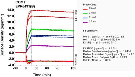 OI-RD Scanning - Anti-COMT antibody [EPR6491(B)] (AB124813)