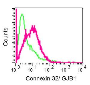 Flow Cytometry - Anti-Connexin 32 / GJB1 antibody [EPR8036(2)] - BSA and Azide free (AB250497), expandable thumbnail