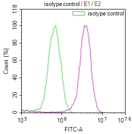 Flow Cytometry (Intracellular) - Anti-COPS3/CSN3 antibody [3F9] (AB314042)