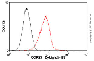Flow Cytometry (Intracellular) - Anti-COPS3/CSN3 antibody [EPR3127] (AB79698)