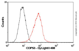 Flow Cytometry (Intracellular) - Anti-COPS3/CSN3 antibody [EPR3127] - BSA and Azide free (AB247508)