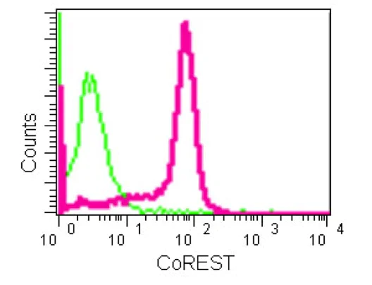 Flow Cytometry (Intracellular) - Anti-CoREST antibody [EPR13826(B)] - BSA and Azide free (AB250375)