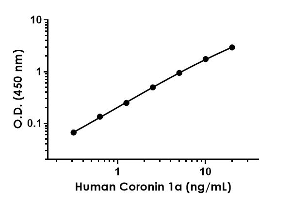 Sandwich ELISA - Anti-Coronin 1a/TACO antibody [EPR19467-143] - BSA and Azide free (Detector) (AB242985)