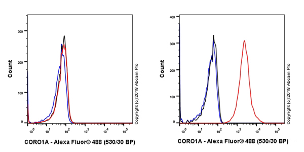 Flow Cytometry (Intracellular) - Anti-Coronin 1a/TACO antibody [EPR19467-81] (AB243090), expandable thumbnail