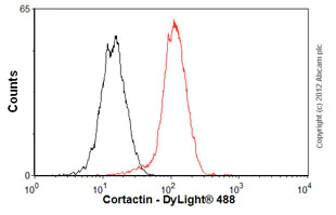 Flow Cytometry (Intracellular) - Anti-Cortactin antibody [EP1922Y] (AB81208)