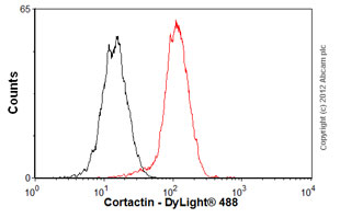 Flow Cytometry (Intracellular) - Anti-Cortactin antibody [EP1922Y] - BSA and Azide free (AB223125), expandable thumbnail