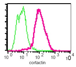 Flow Cytometry (Intracellular) - Anti-Cortactin antibody [EPR1923Y] (AB68438)