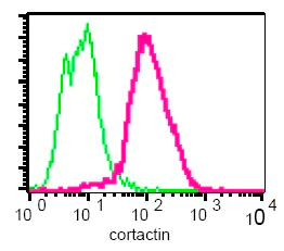 Flow Cytometry (Intracellular) - Anti-Cortactin antibody [EPR1923Y] (AB68438)