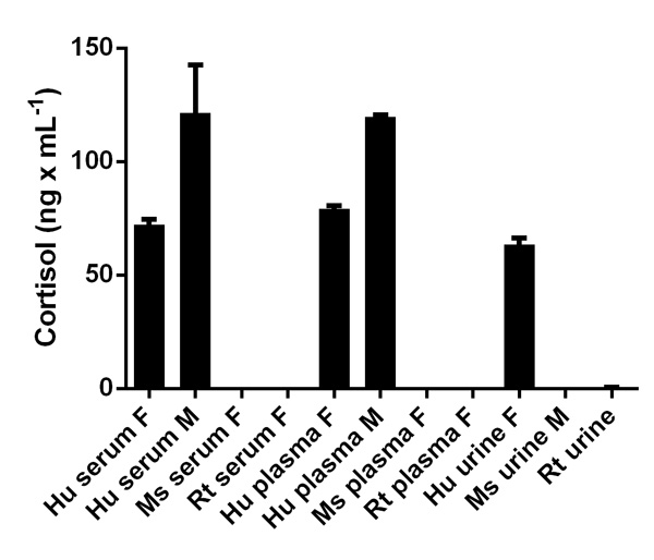 Competitive ELISA - Cortisol ELISA Kit (AB108665), expandable thumbnail