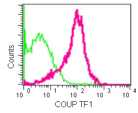 Flow Cytometry (Intracellular) - Anti-COUP TF1 antibody [EPR10841] (AB181137)