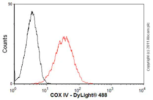 Anti-COX IV antibody [20E8C12] - Mitochondrial Marker