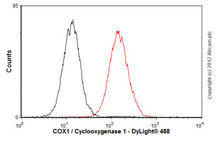 Flow Cytometry (Intracellular) - Anti-COX1 / Cyclooxygenase 1 antibody [EPR5866] (ab109025), expandable thumbnail