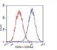 Flow Cytometry - Anti-COX4 + COX4L2 antibody [10G8D12C12] - Mitochondrial Marker (AB110261), expandable thumbnail