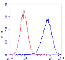 Flow Cytometry - Anti-COX5A antibody [6E9B12D5] (AB110262)