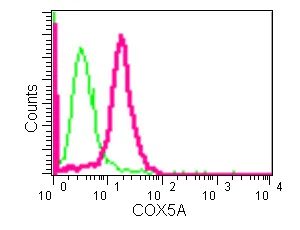 Flow Cytometry (Intracellular) - Anti-COX5A antibody [EPR14207(B)] - BSA and Azide free (AB250442)