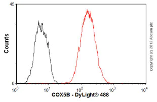 Flow Cytometry - Anti-COX5B antibody [16H12H9] (AB110263)