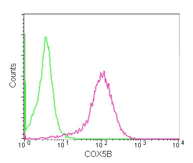 Flow Cytometry (Intracellular) - Anti-COX5B antibody [EPR14439(B)] (AB180136)