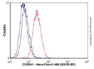 Flow Cytometry - Anti-COX6A1 antibody [14A3AD2BH4] (AB110265), expandable thumbnail