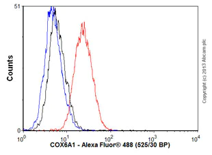 Flow Cytometry - Anti-COX6A1 antibody [14A3AD2BH4] (AB110265)