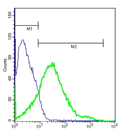 Flow Cytometry - Anti-Coxsackie Adenovirus Receptor/hCAR antibody (AB214354)