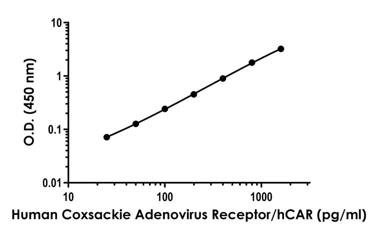 Sandwich ELISA - Anti-Coxsackie Adenovirus Receptor/hCAR antibody [EPR23305-12] - BSA and Azide free (Detector) (AB281069)