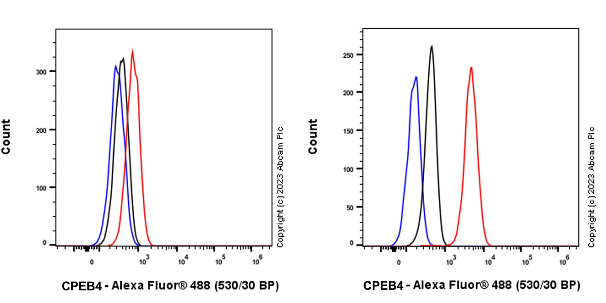Flow Cytometry (Intracellular) - Anti-CPEB4 antibody [EPR27416-141] (AB315332), expandable thumbnail