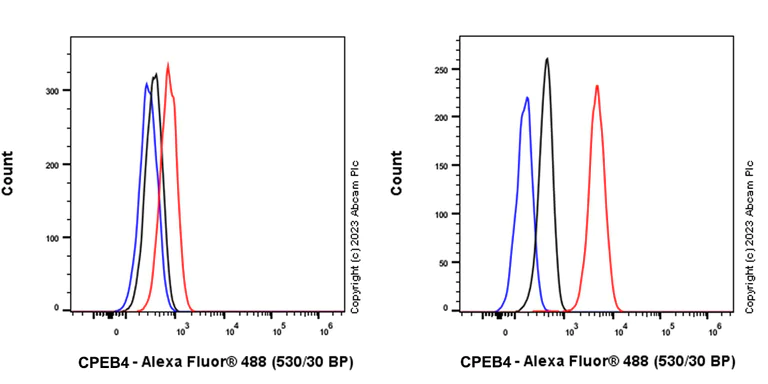 Flow Cytometry (Intracellular) - Anti-CPEB4 antibody [EPR27416-141] (AB315332)