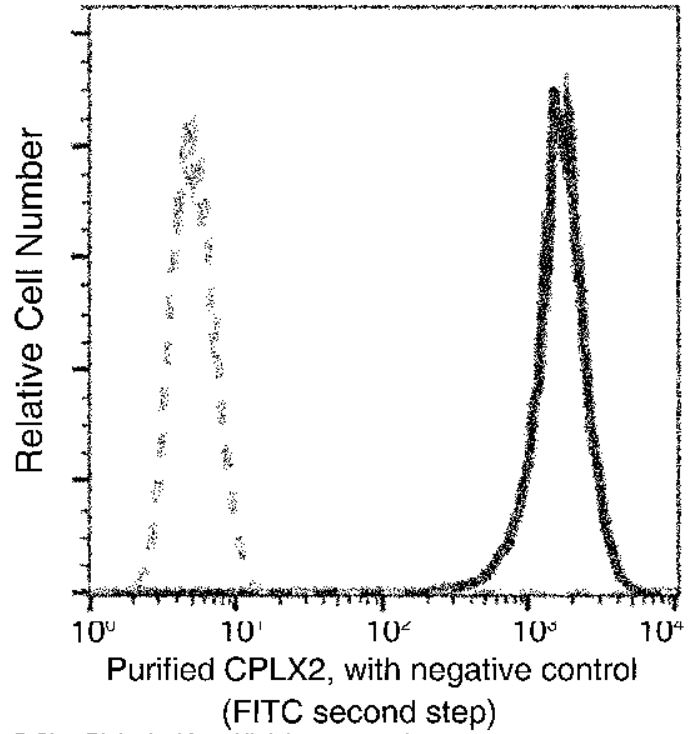 Flow Cytometry (Intracellular) - Anti-CPLX2 antibody [021] - BSA and Azide free (AB276059), expandable thumbnail