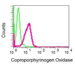 Flow Cytometry (Intracellular) - Anti-CPOX antibody [EPR11926(B)] - BSA and Azide free (AB249613)