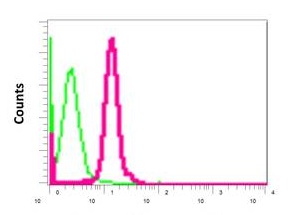 Flow Cytometry (Intracellular) - Anti-CPOX antibody [EPR11927(B)] (AB169766), expandable thumbnail
