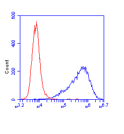 Flow Cytometry - Anti-CPS1 antibody [2E4AE11] (AB110303)