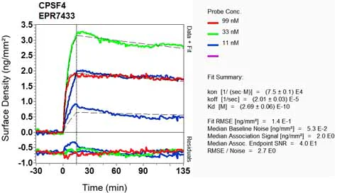 OI-RD Scanning - Anti-CPSF30/NAR antibody [EPR7433] - BSA and Azide free (AB248378)