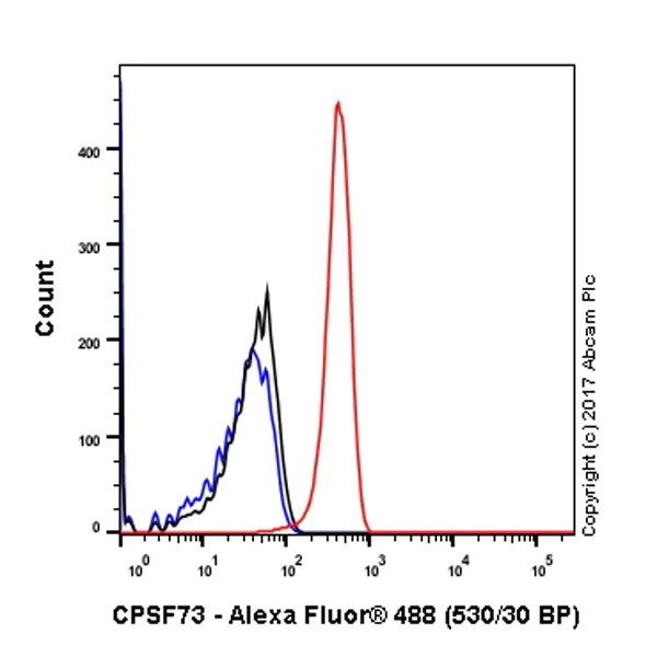 Flow Cytometry (Intracellular) - Anti-CPSF73 antibody [EPR7468] - BSA and Azide free (AB248388)