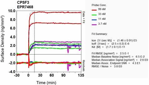 OI-RD Scanning - Anti-CPSF73 antibody [EPR7468] - BSA and Azide free (AB248388), expandable thumbnail