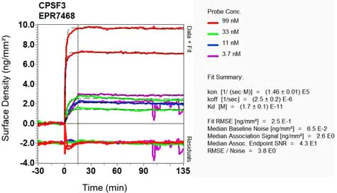 OI-RD Scanning - Anti-CPSF73 antibody [EPR7468] - BSA and Azide free (AB248388)