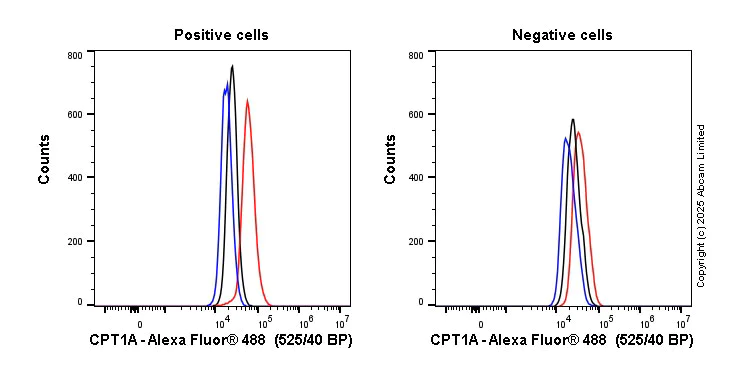 Flow Cytometry (Intracellular) - Anti-CPT1A antibody [EPR21843-71-2F] - BSA and Azide free (AB235841)