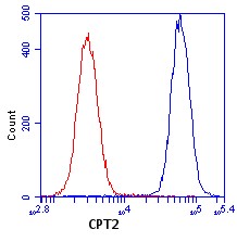 Flow Cytometry - Anti-CPT2 antibody [1C2AE6] (AB110293), expandable thumbnail