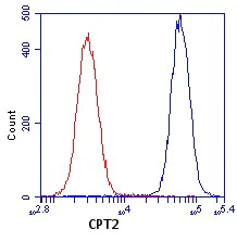 Flow Cytometry - Anti-CPT2 antibody [1C2AE6] (AB110293)