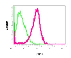 Flow Cytometry (Intracellular) - Anti-CR1L antibody [EPR9604(B)] - BSA and Azide free (AB249495)
