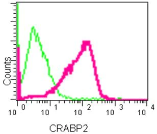 Flow Cytometry (Intracellular) - Anti-CRABP2 antibody [EPR14256(B)] (AB181255)