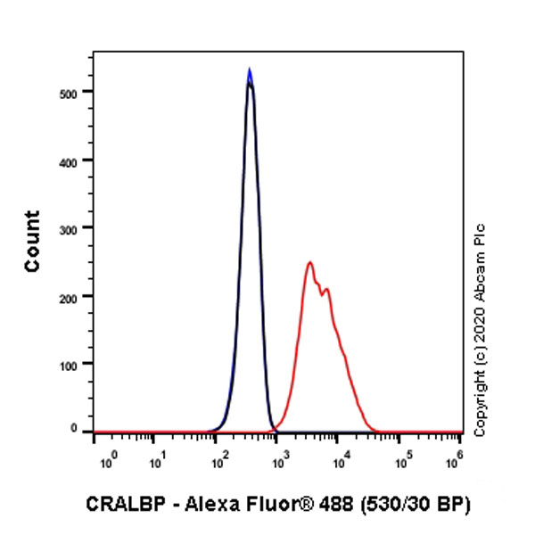 Flow Cytometry (Intracellular) - Anti-CRALBP antibody [EPR23448-119] - BSA and Azide free (AB272171), expandable thumbnail