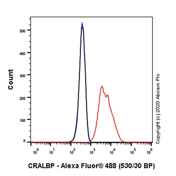 Flow Cytometry (Intracellular) - Anti-CRALBP antibody [EPR23448-119] - BSA and Azide free (AB272171)