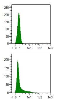 Flow Cytometry - Anti-Cre recombinase antibody (AB216262), expandable thumbnail