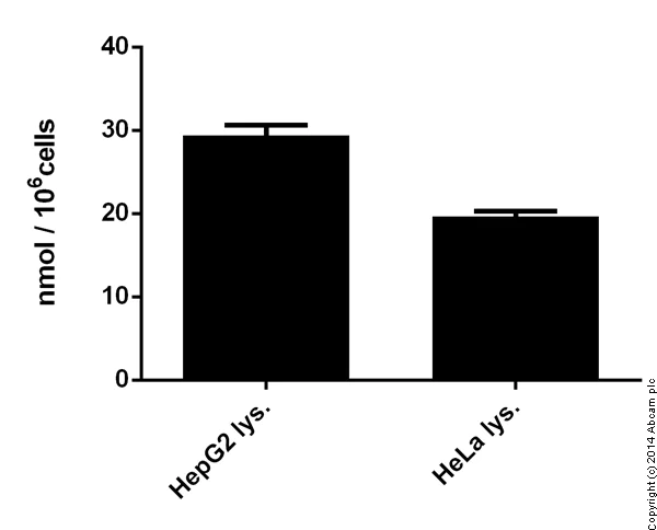 Functional Studies - Creatine Assay Kit (Colorimetric/Fluorometric) (AB65339)