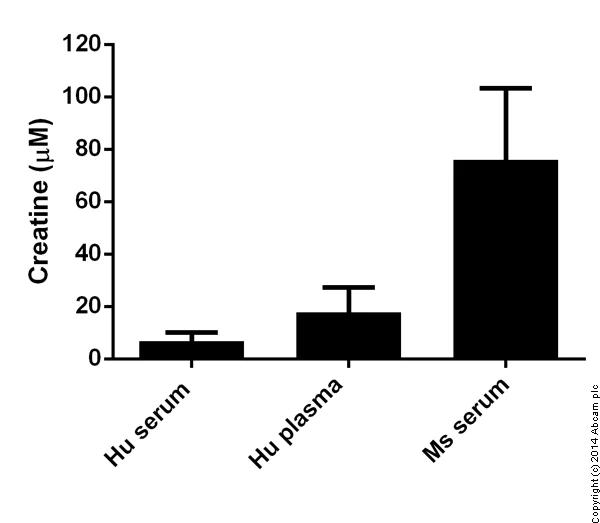 Functional Studies - Creatine Assay Kit (Colorimetric/Fluorometric) (AB65339)