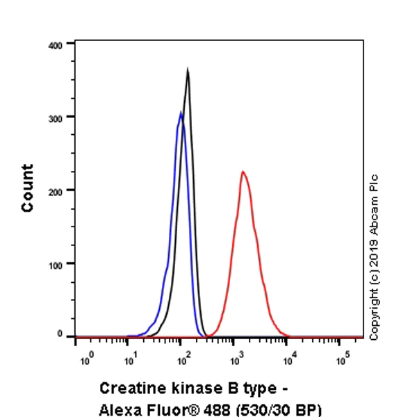 Flow Cytometry (Intracellular) - Anti-Creatine kinase B type antibody [EPR3927] - BSA and Azide free (AB247555)