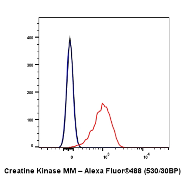 Flow Cytometry (Intracellular) - Anti-Creatine Kinase MM antibody [EPR25358-10] (AB283683), expandable thumbnail