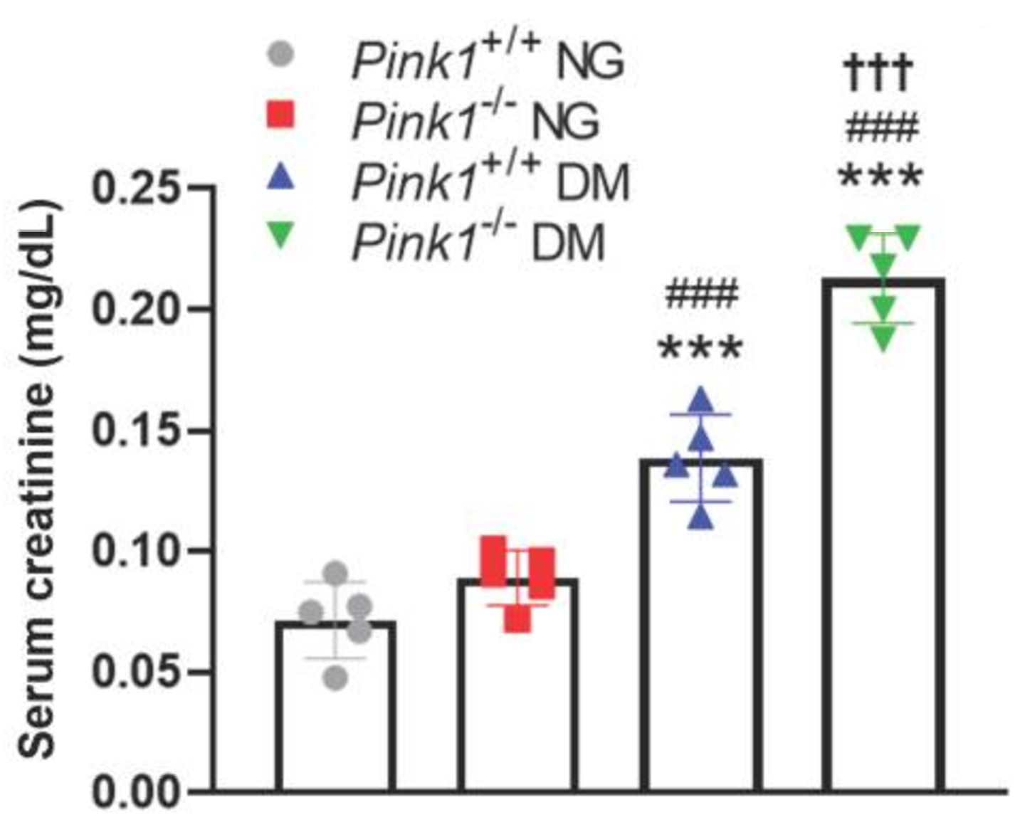 Biochemical assay - Creatinine Assay Kit (ab65340), expandable thumbnail
